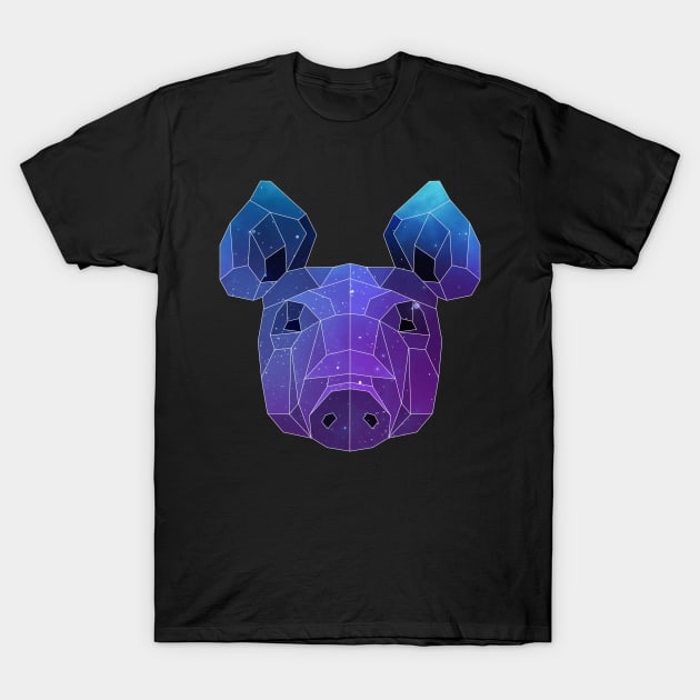 Galaxy Pig T-Shirt by Jay Diloy